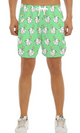 Crazy Quax Shorts * Mint