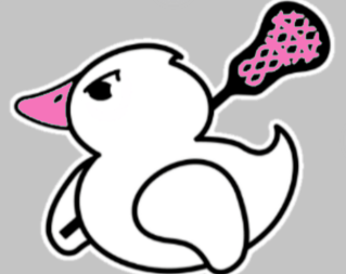 Determined (PINK) Duck Hoodie*Blue Mist