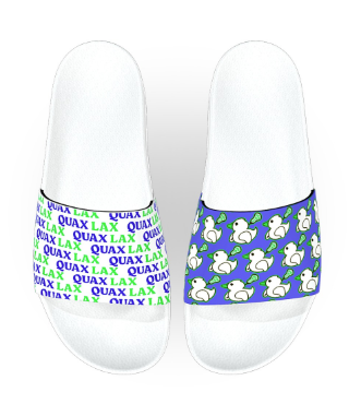 Duck'd and Ready Slides