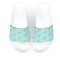 Its a.....Duck Slides